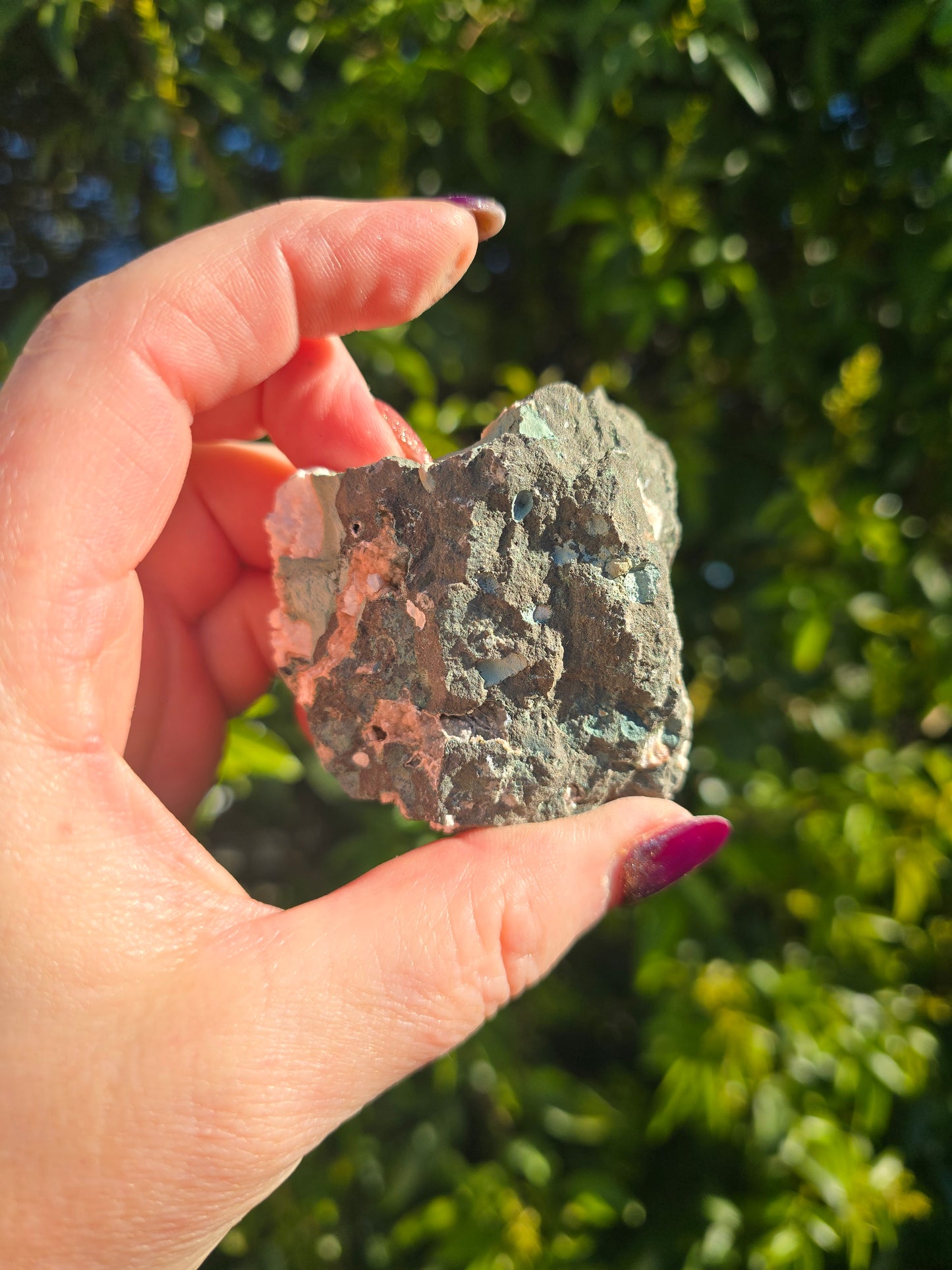 Zeolite Cluster H
