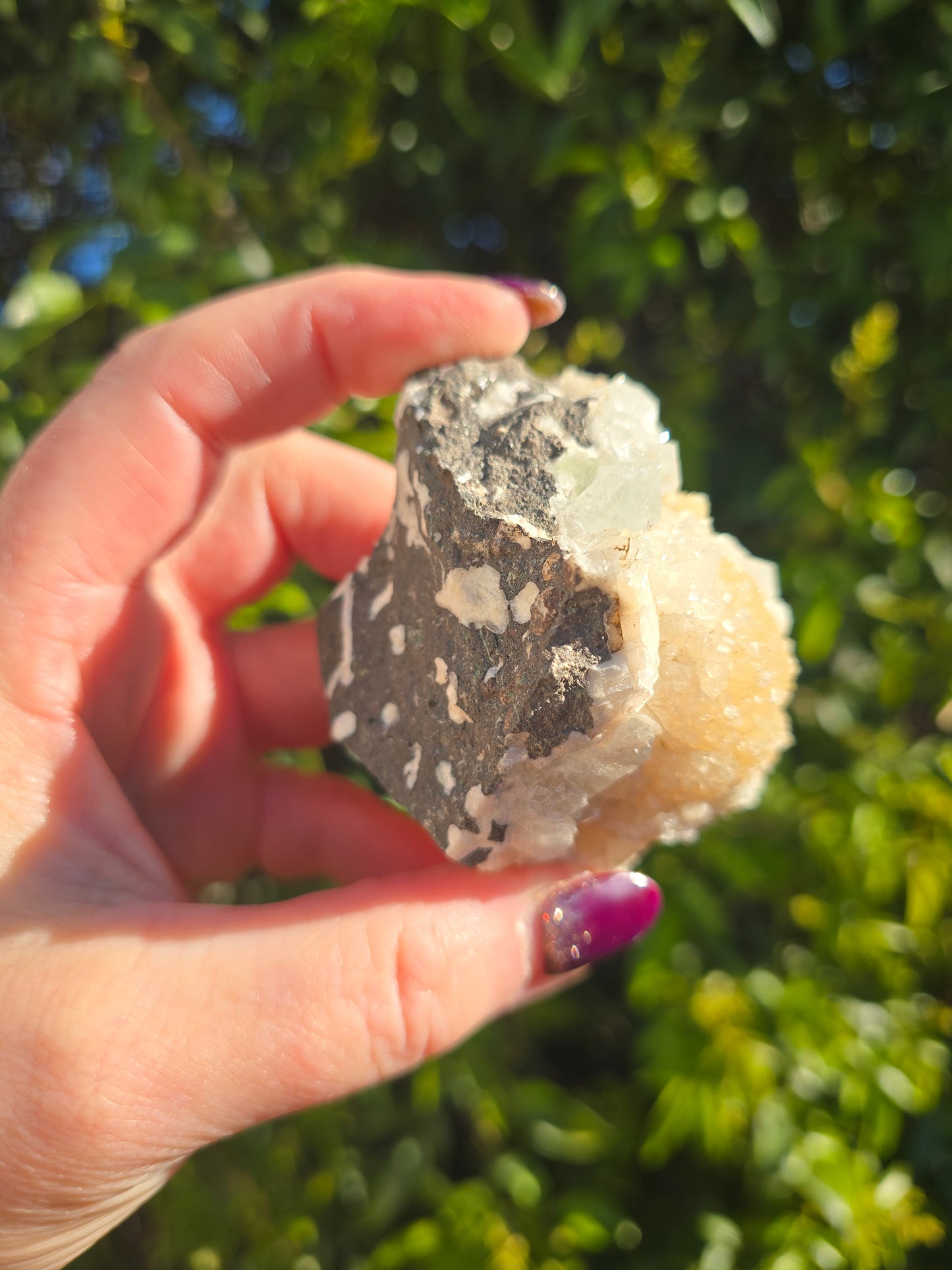 Zeolite Cluster i