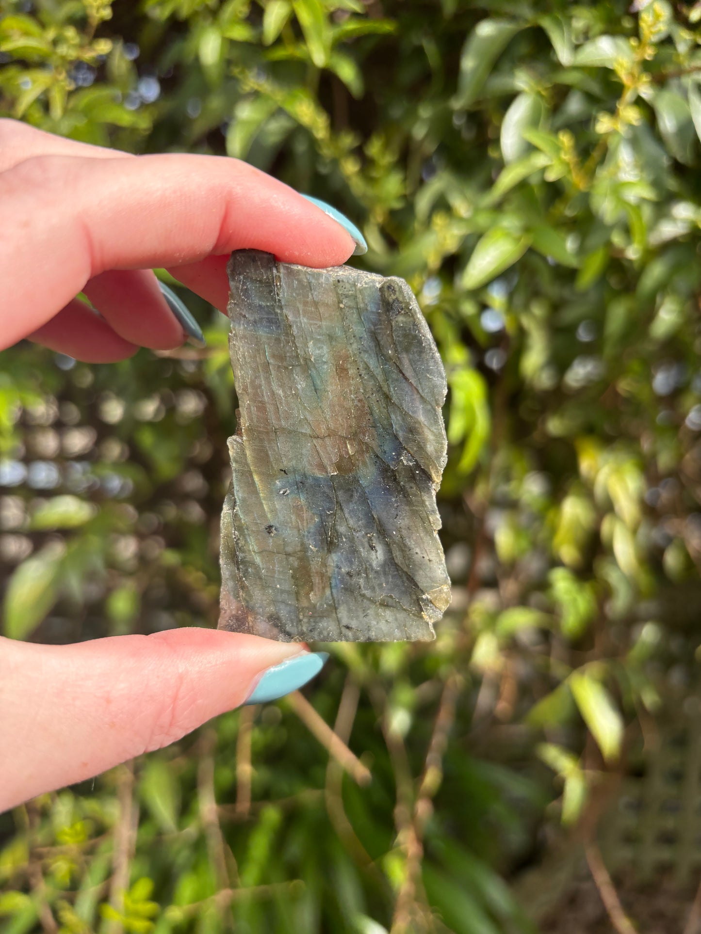 Labradorite Semi Polished Piece i