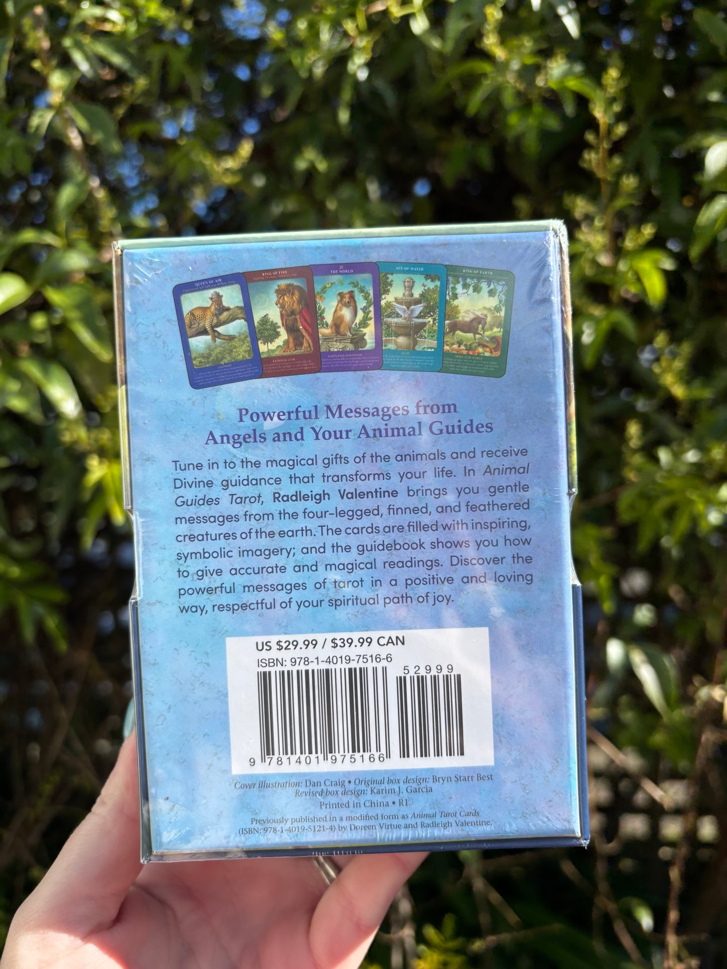 Animal Guides Tarot Cards