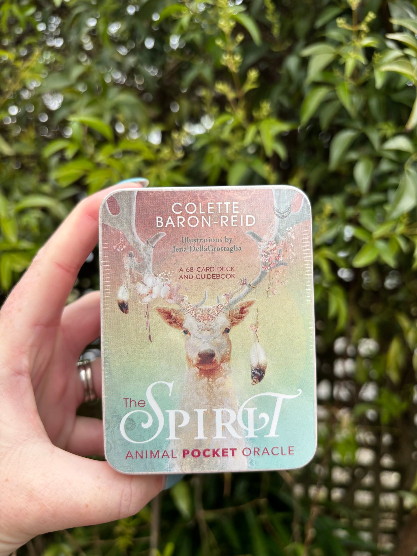 The Spirit Animal Pocket Oracle In Tin