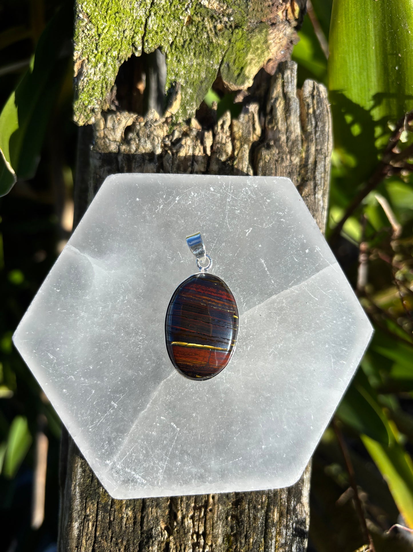 Tigers Iron | Polished Sterling Silver Pendant A