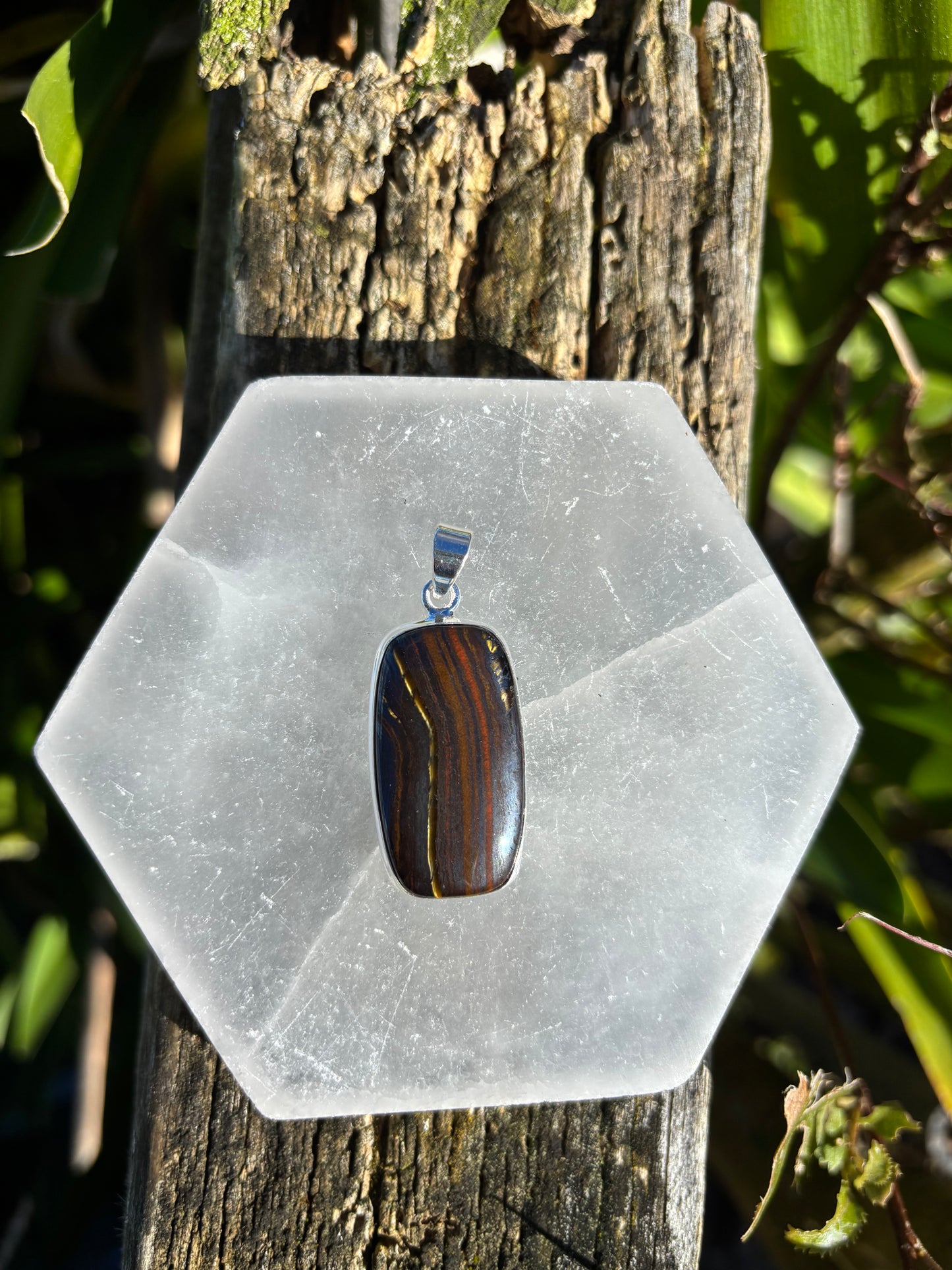 Tigers Iron | Polished Sterling Silver Pendant B
