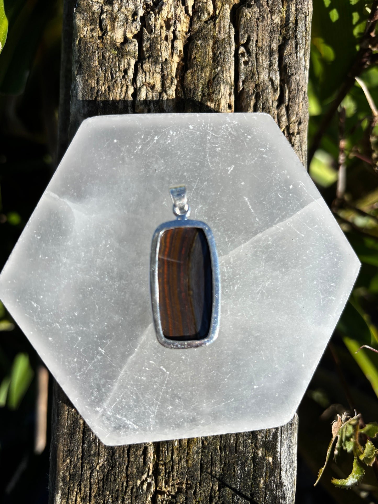 Tigers Iron | Polished Sterling Silver Pendant B