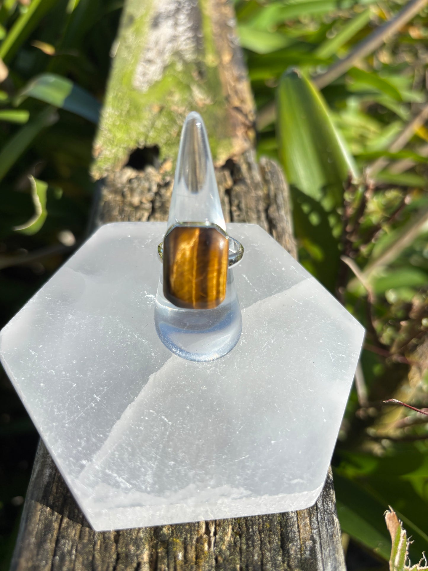 Tigers Eyes | Polished Cut Sterling Silver Adjustable Ring A