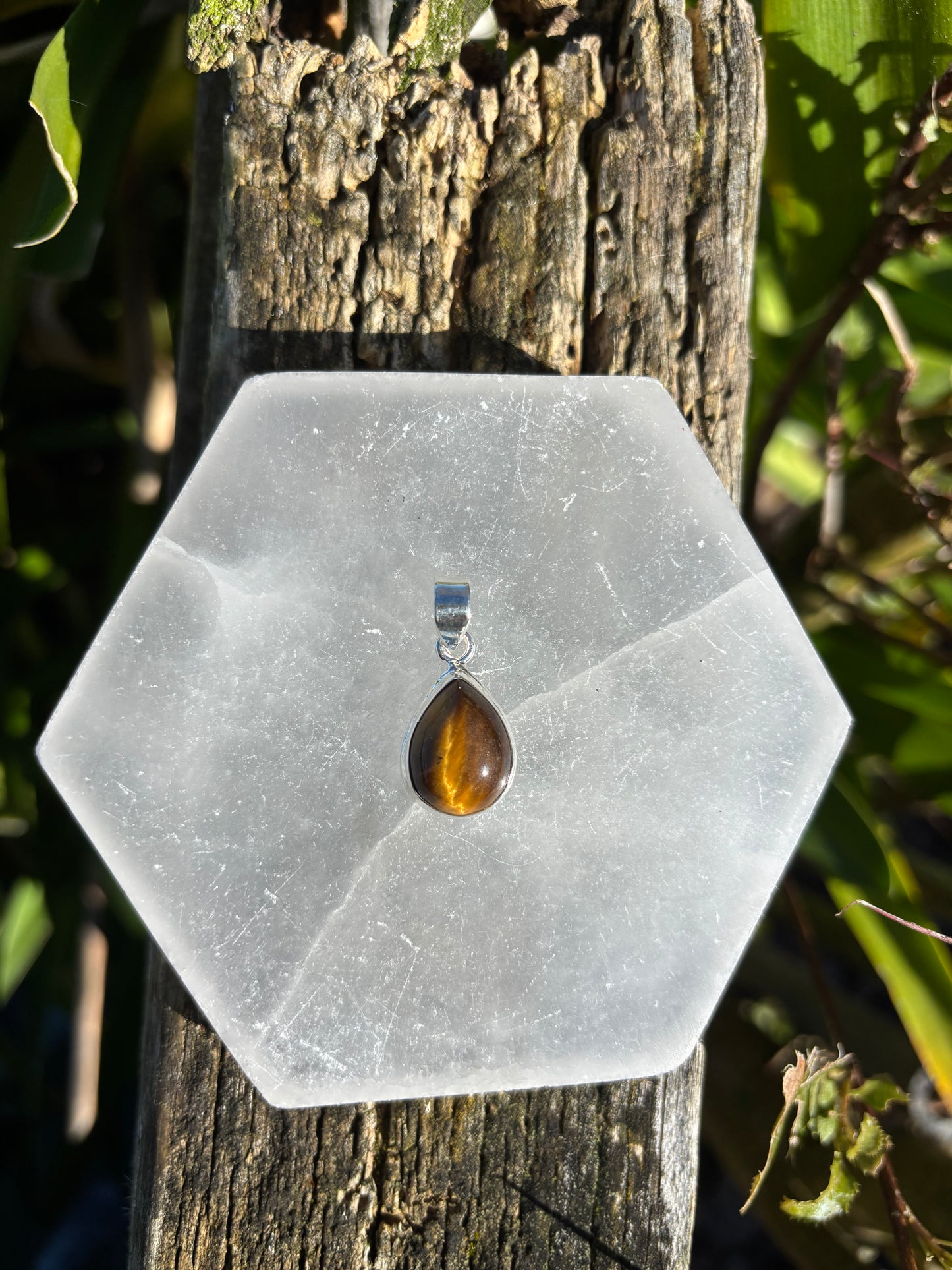 Tigers Eye | Polished Sterling Silver Pendant A