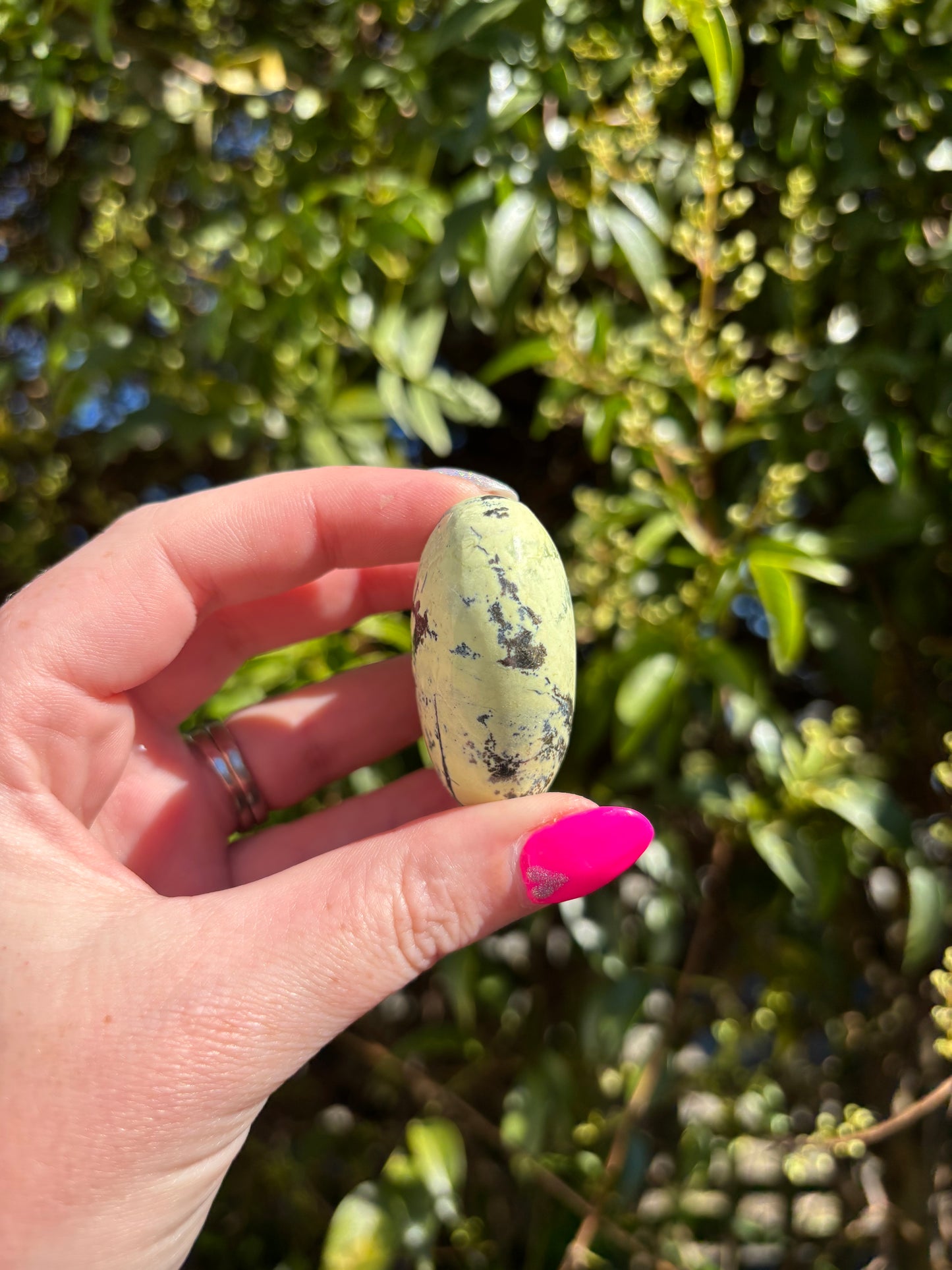 Serpentine & Pyrite Heart B