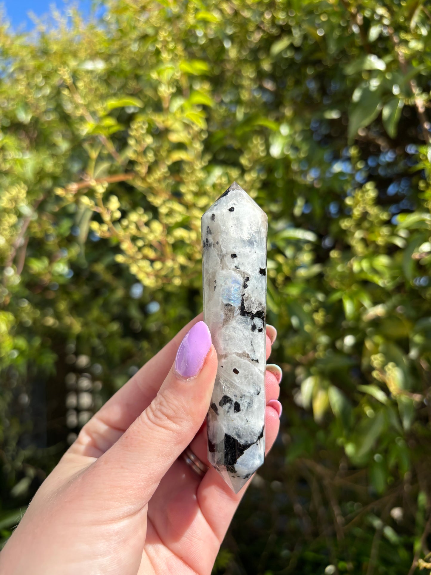 Rainbow Moonstone Vogel Wand D