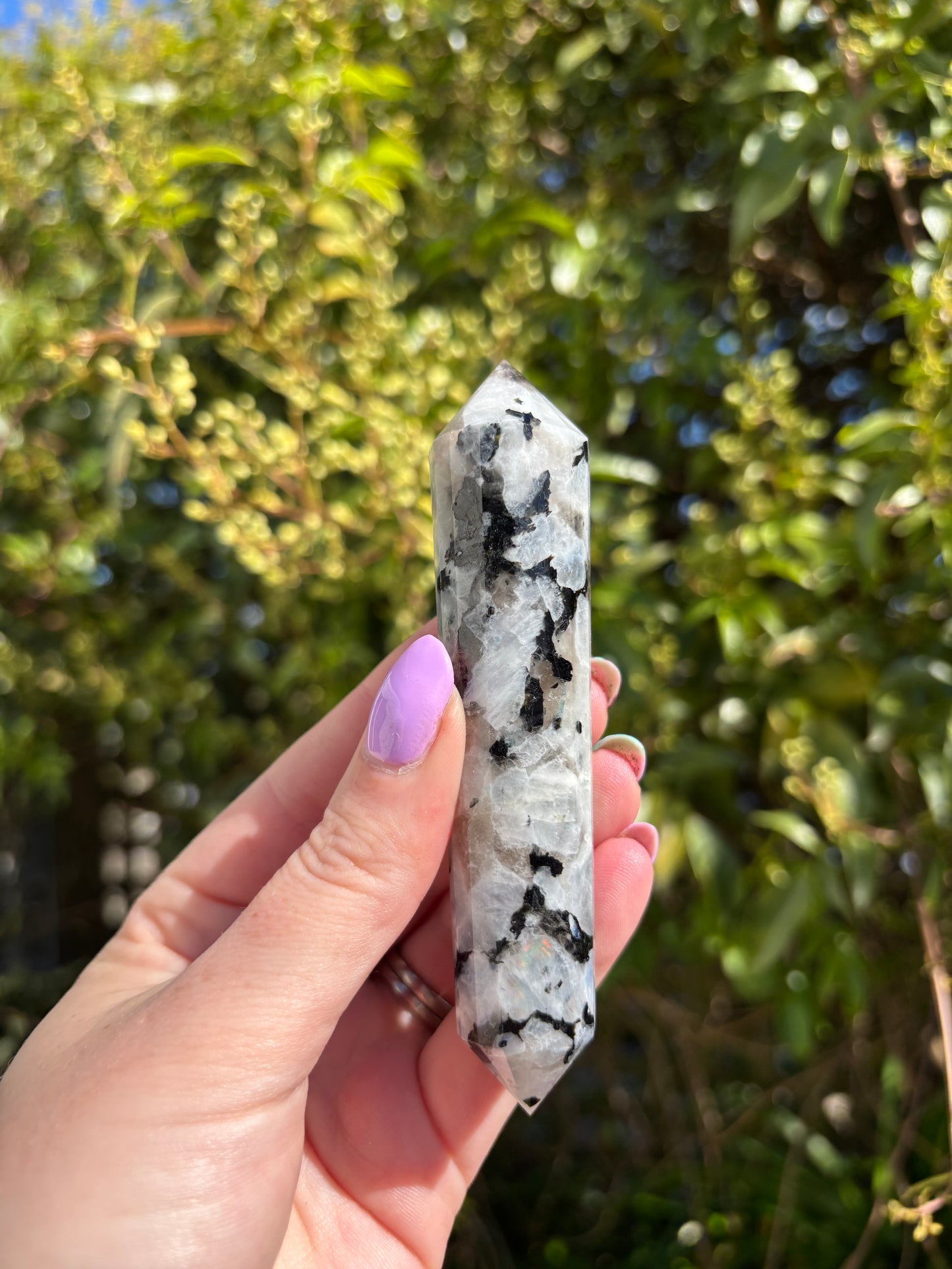 Rainbow Moonstone Vogel Wand D