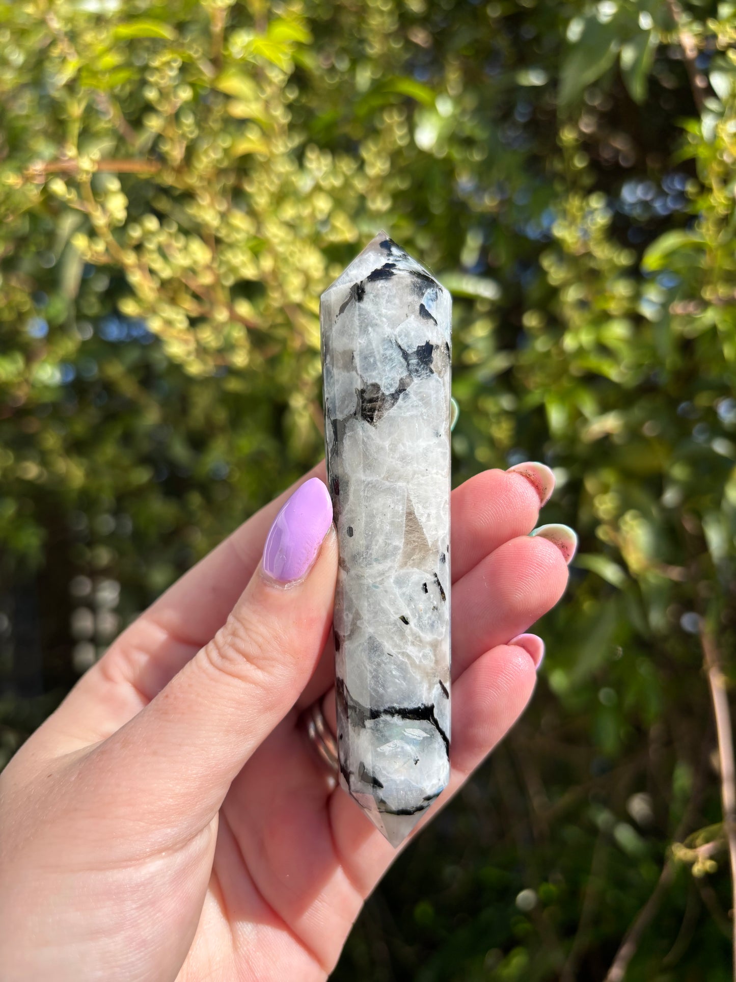 Rainbow Moonstone Vogel Wand D