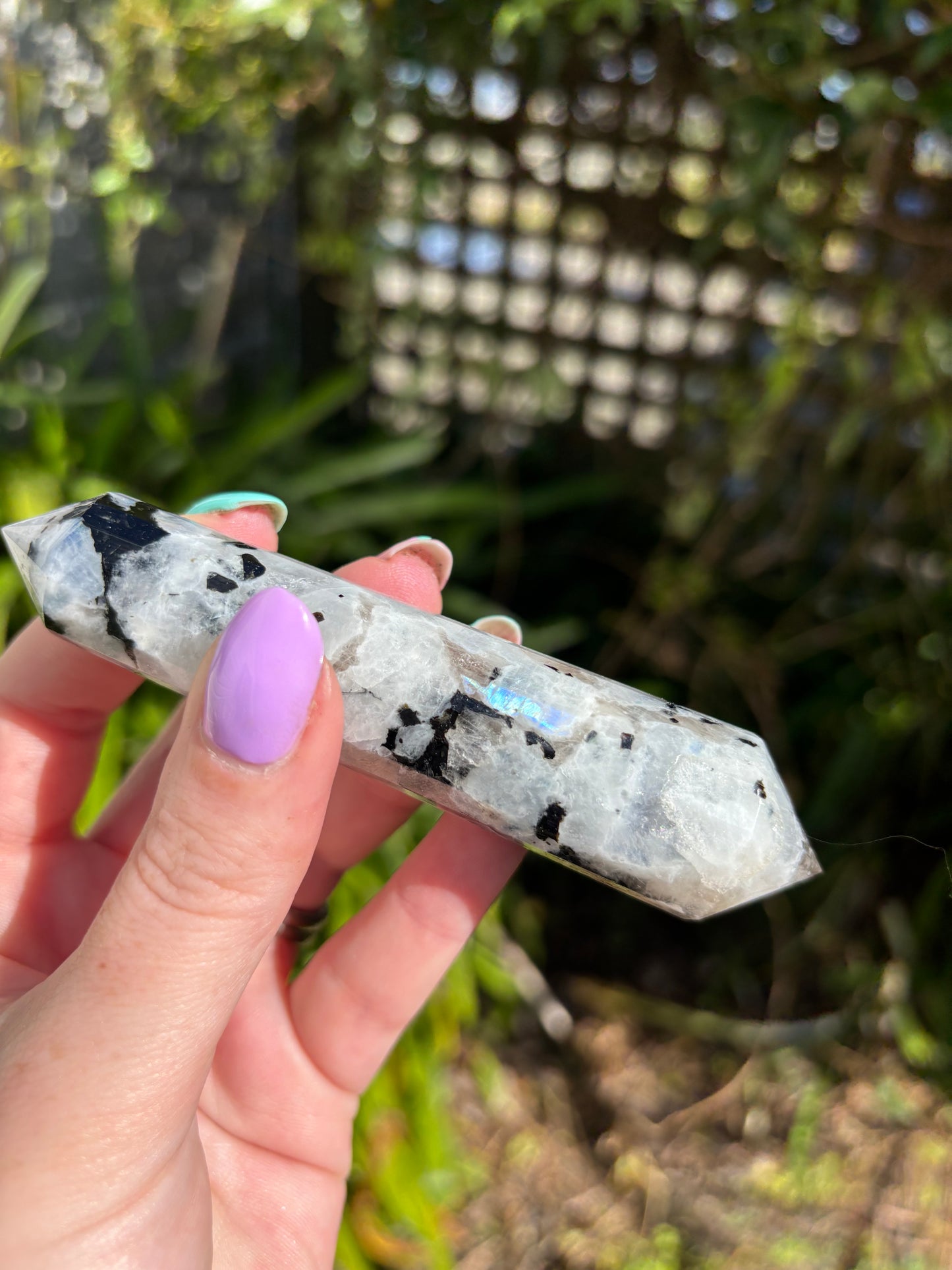 Rainbow Moonstone Vogel Wand D