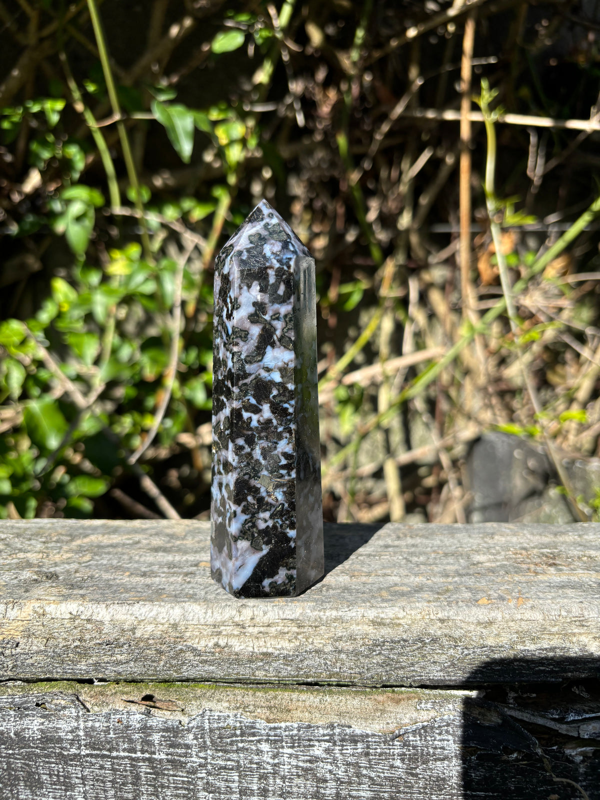 Stone Point Indigo Indigo Gabbro Point D – Daughters And Co Crystals