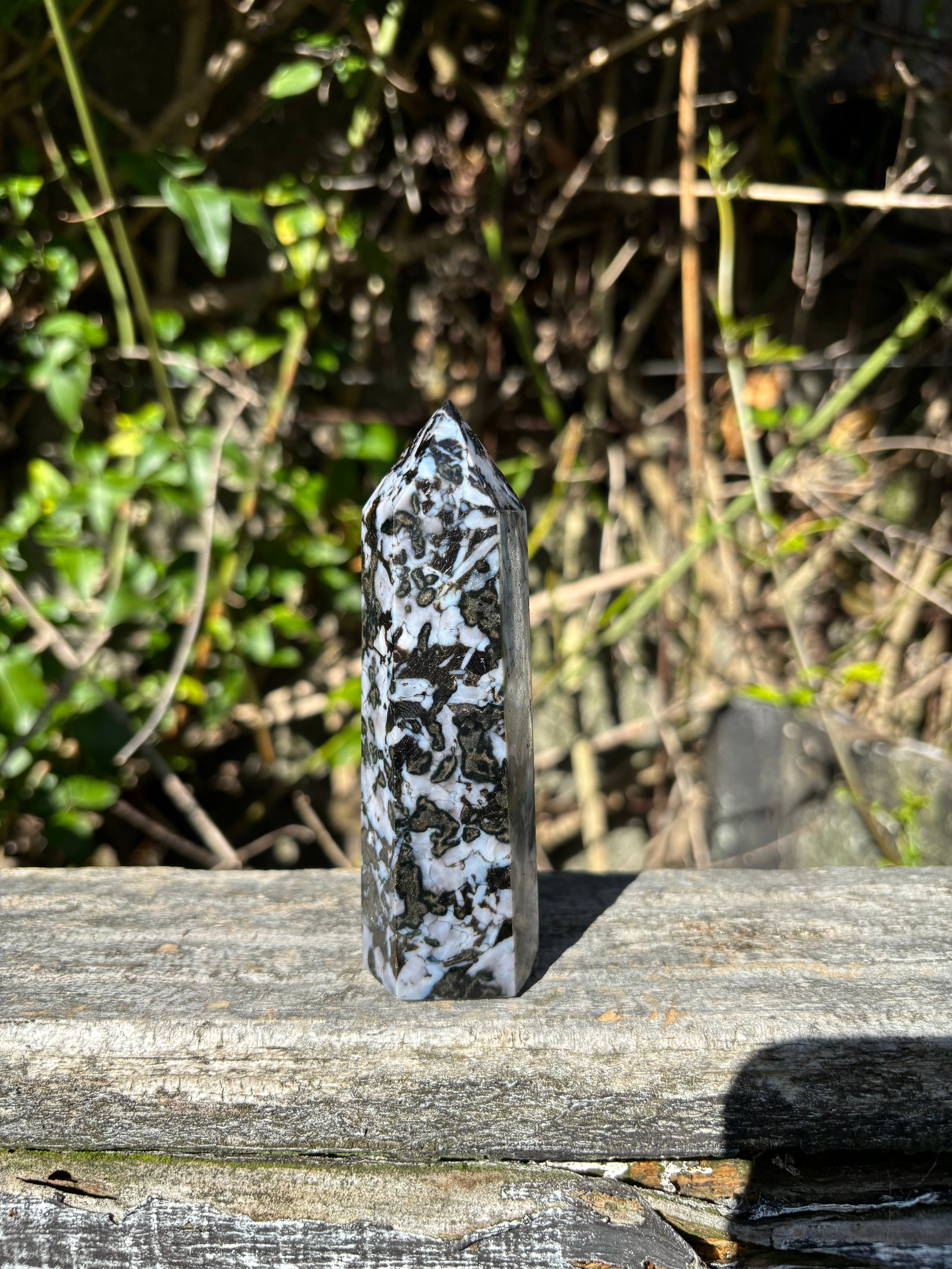 Stone Point Indigo Indigo Gabbro Point E – Daughters And Co Crystals