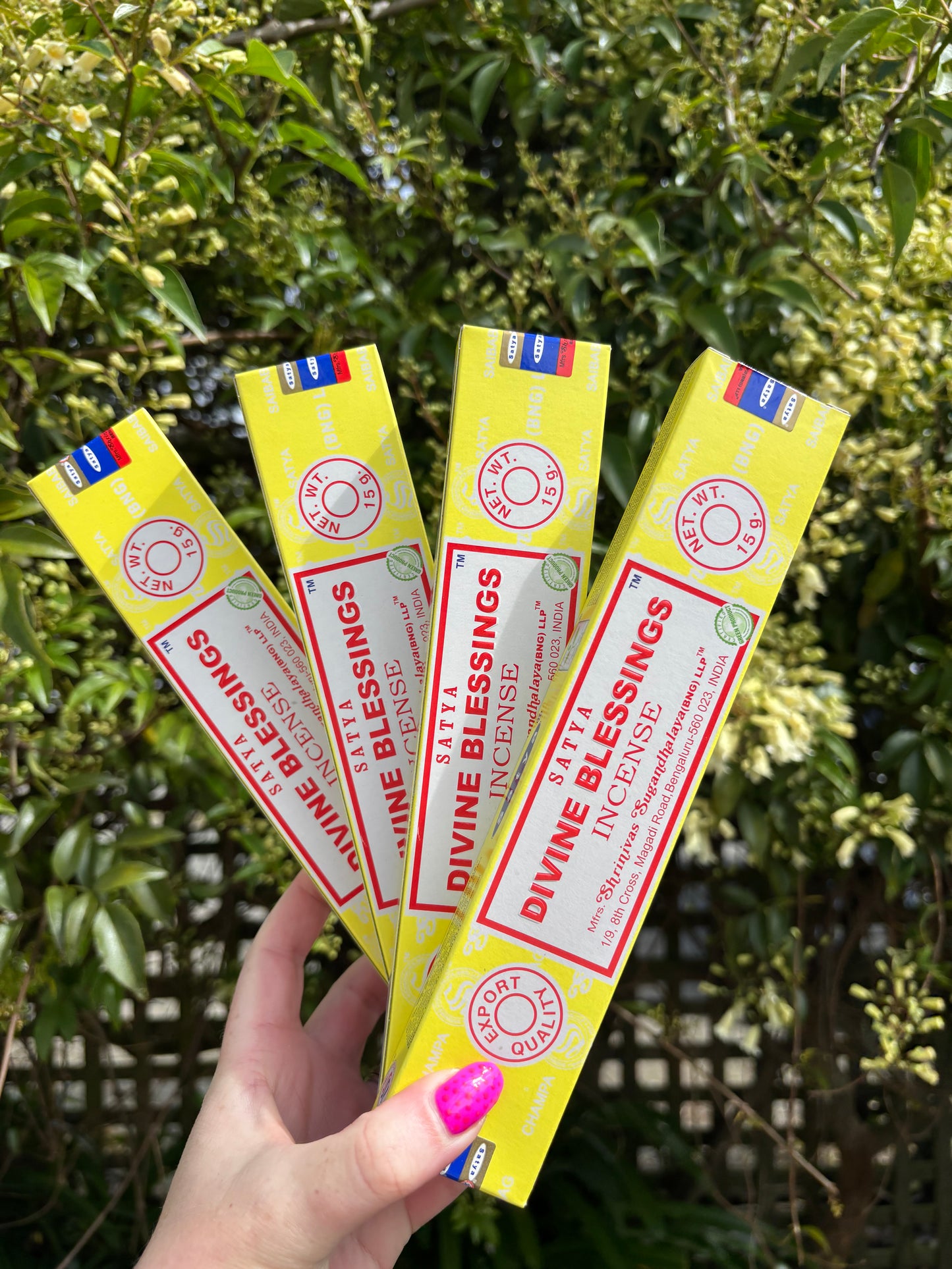 Divine Blessings Incense Sticks