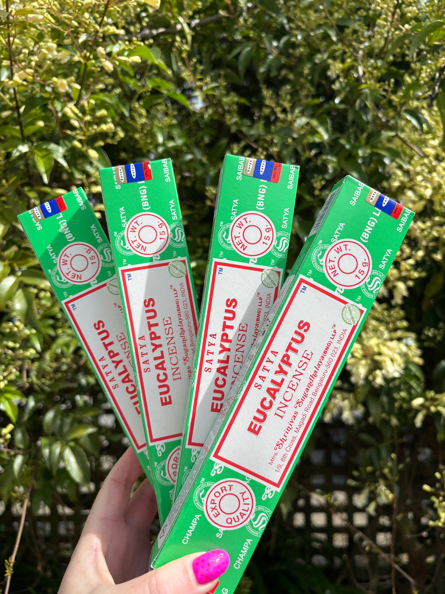 Eucalyptus Incense Sticks