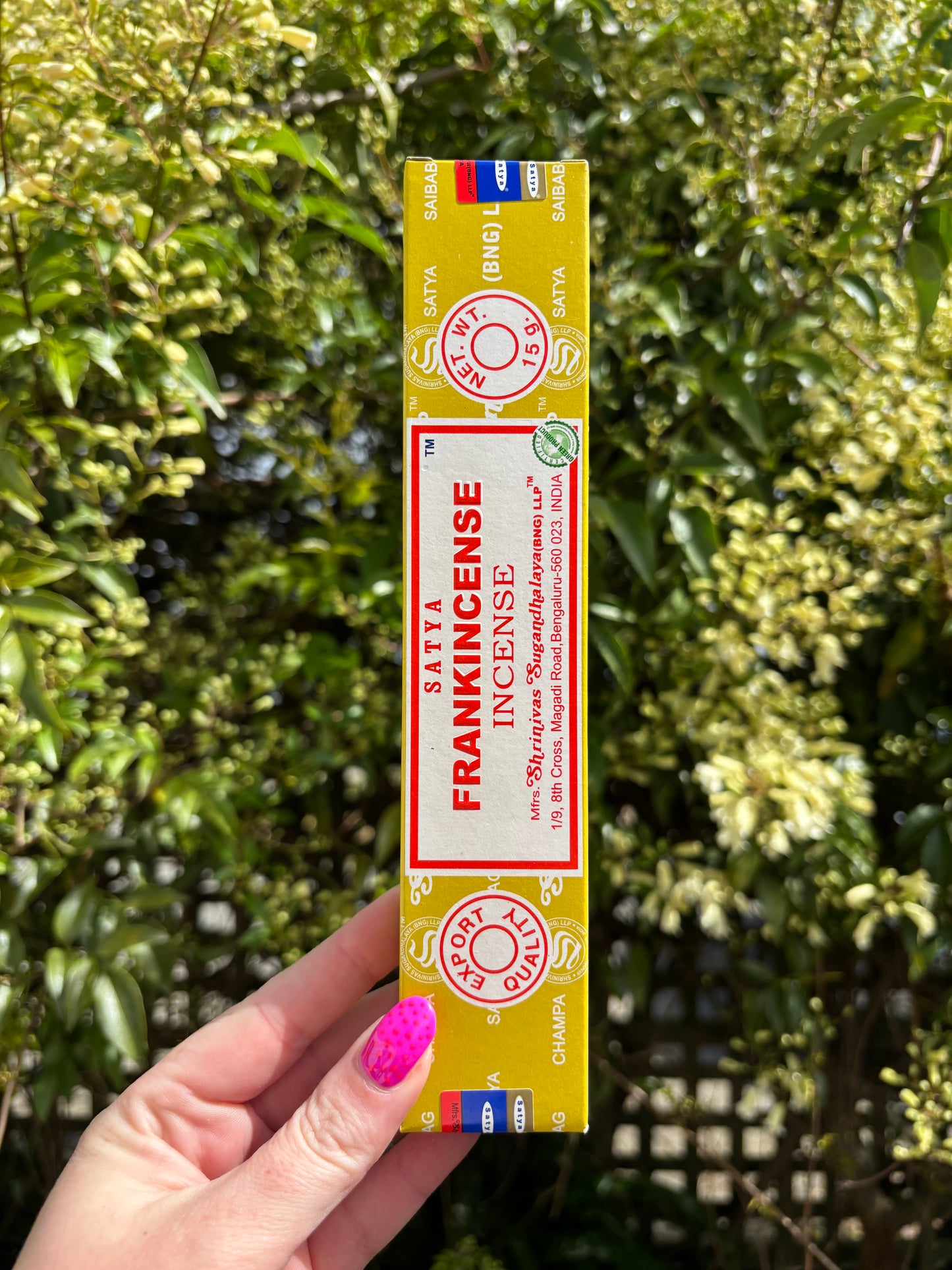 Frankincense Incense Sticks