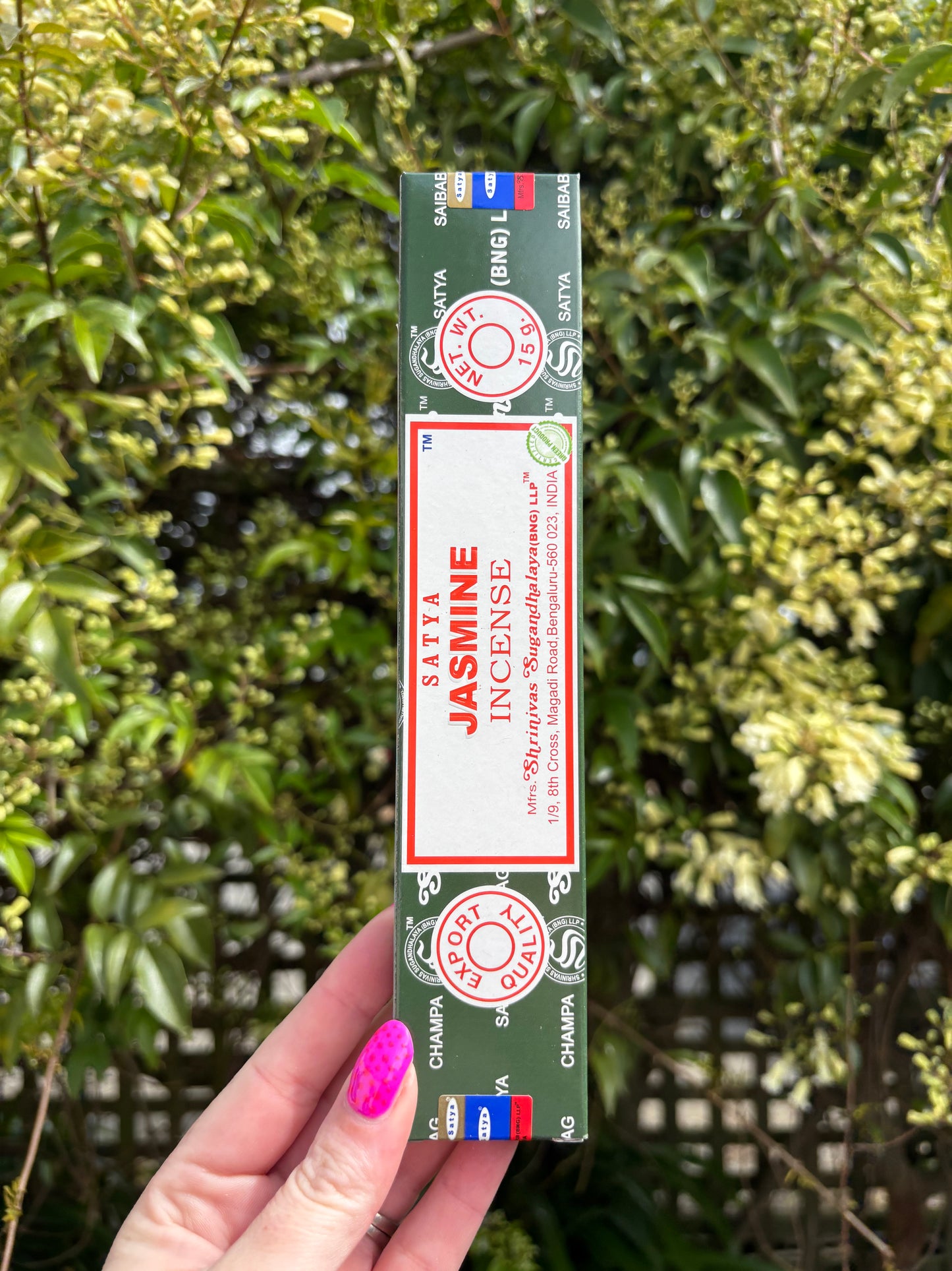 Jasmine Incense Sticks