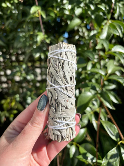 White Sage Smudge Stick Small 4inch TWIN PACK