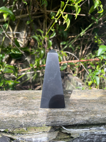 Shungite Point