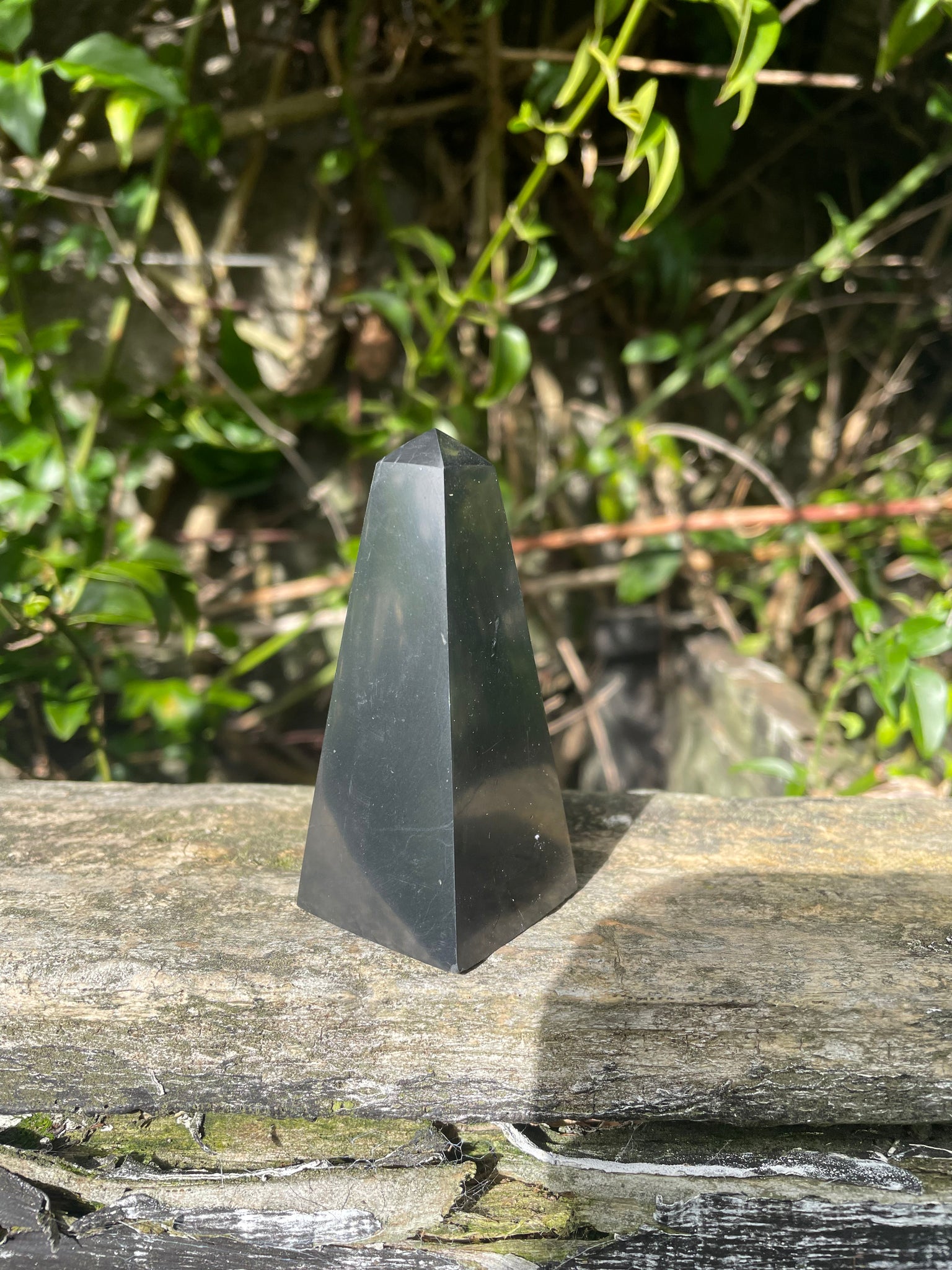 Shungite Point