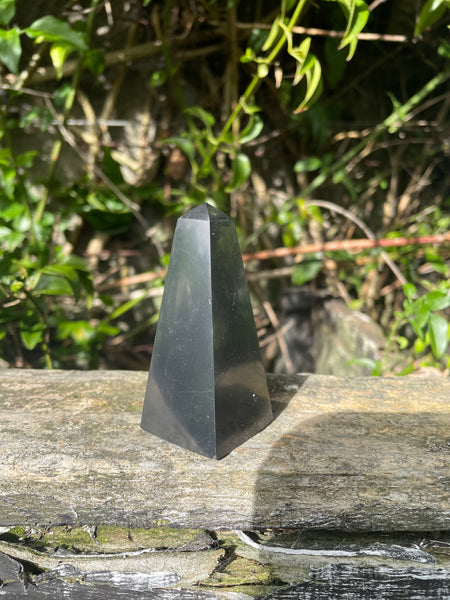 Shungite Point