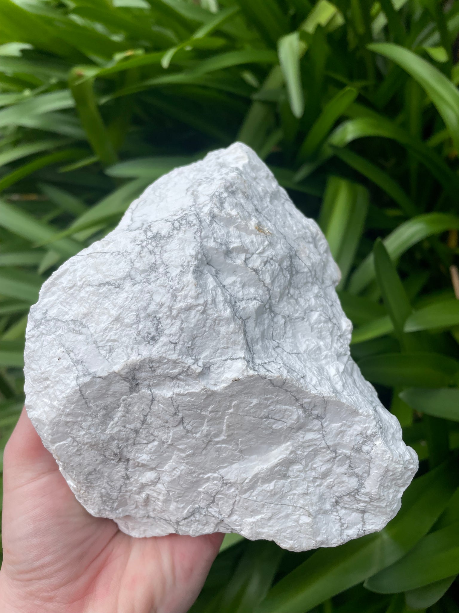 Howlite Rough Piece B 1.3kgs – Daughters And Co Crystals