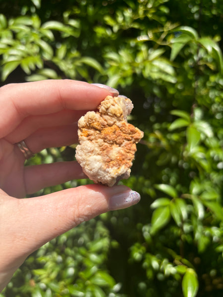 Howlite Rough Piece C 1.1kgs
