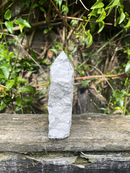Howlite Semi Polished Point C
