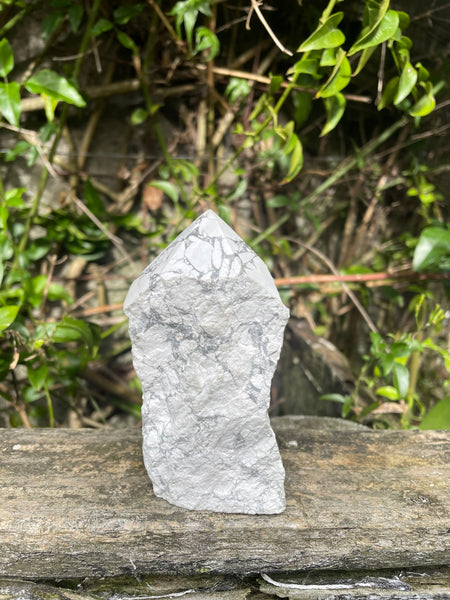 Howlite Semi Polished Point C