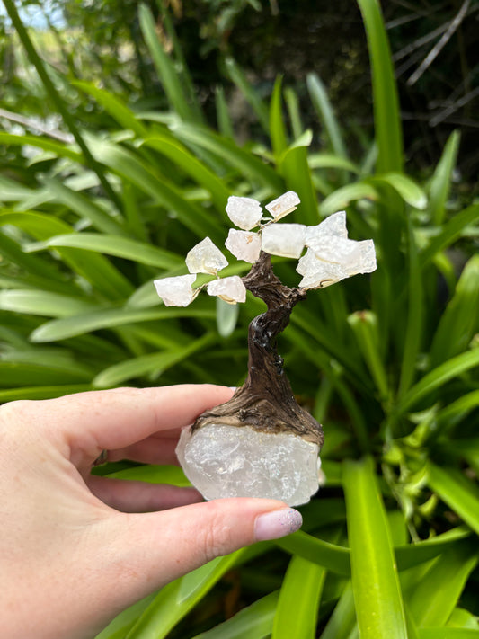 Rose Quartz With Rough Rose Quartz Base Tree