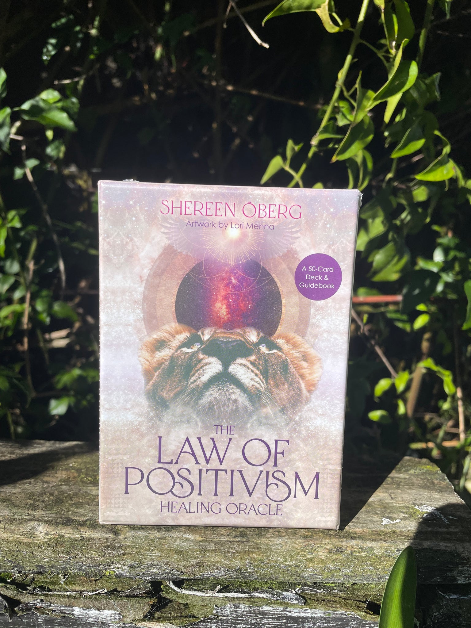 The Law Of Positivism Healing Oracle Cards