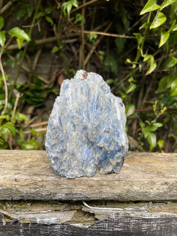 Blue Kyanite Flat Base with Garnet A