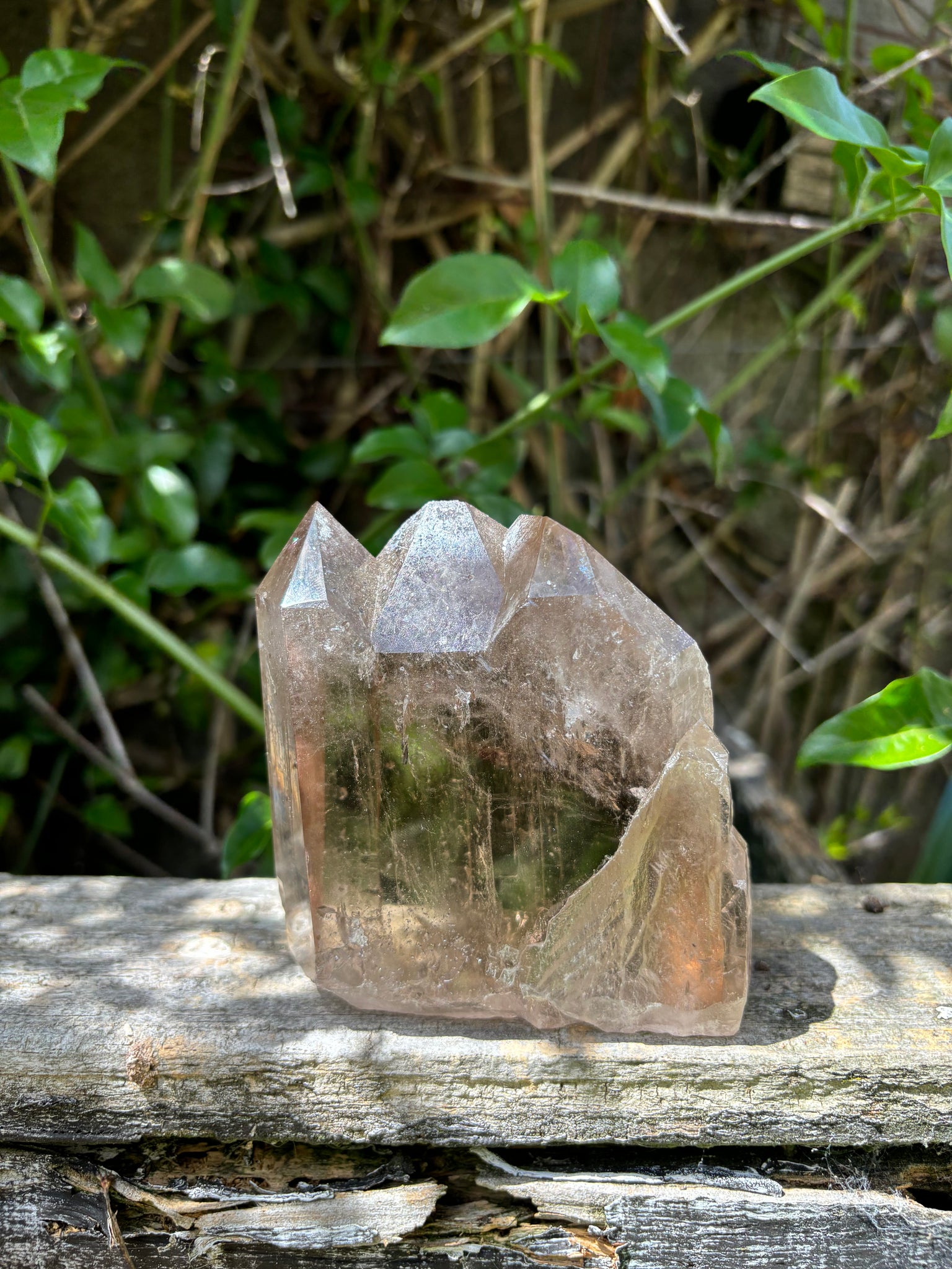 Smoky Quartz Large Cluster On Metal Stand