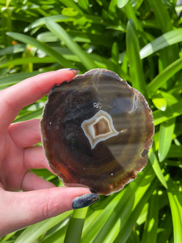 Brown Agate Slice F