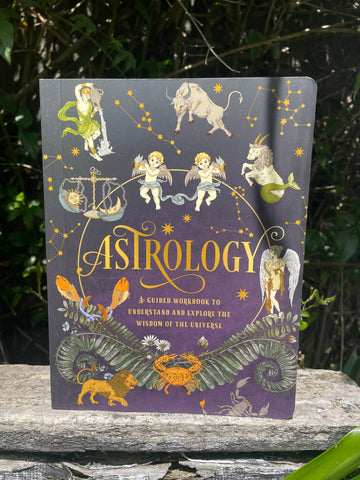 Astrology A Guided Work Book