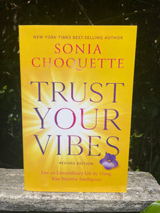 Trust Your Vibes Book