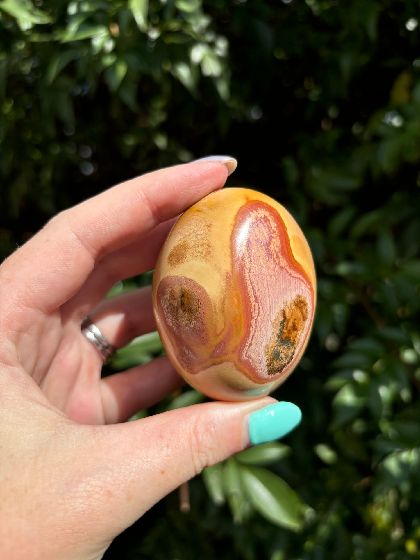 Polychrome Jasper Palm Stone F