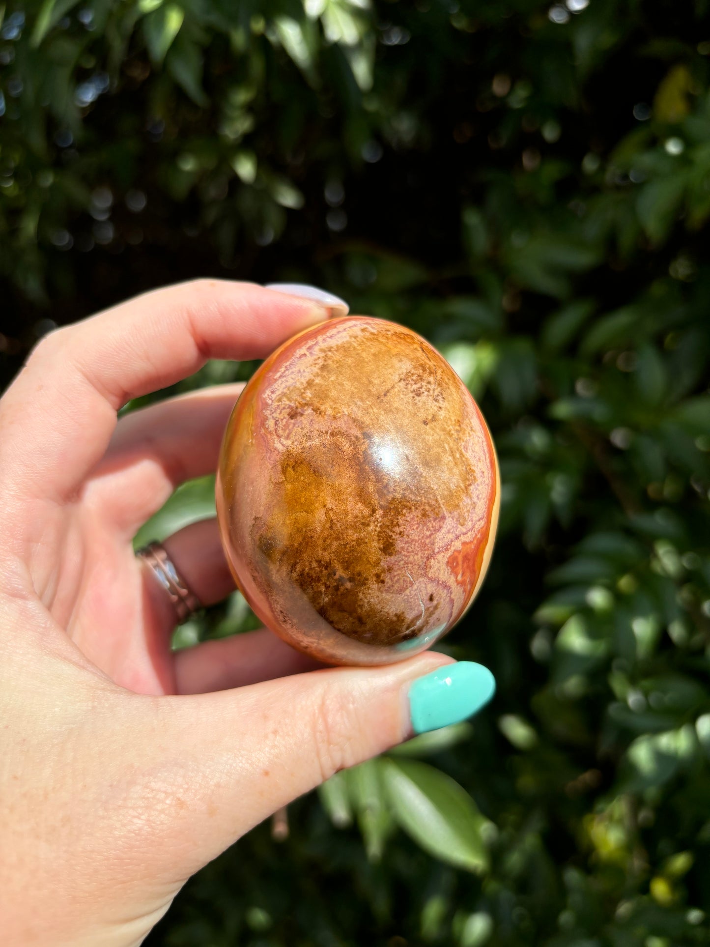 Polychrome Jasper Palm Stone F