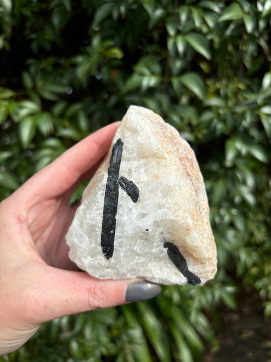 Black Tourmaline & Quartz Rough Piece C