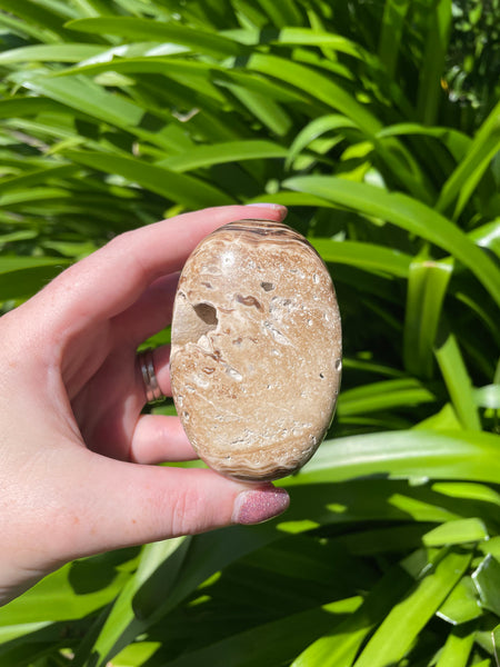 Chocolate Calcite Palm Stone D