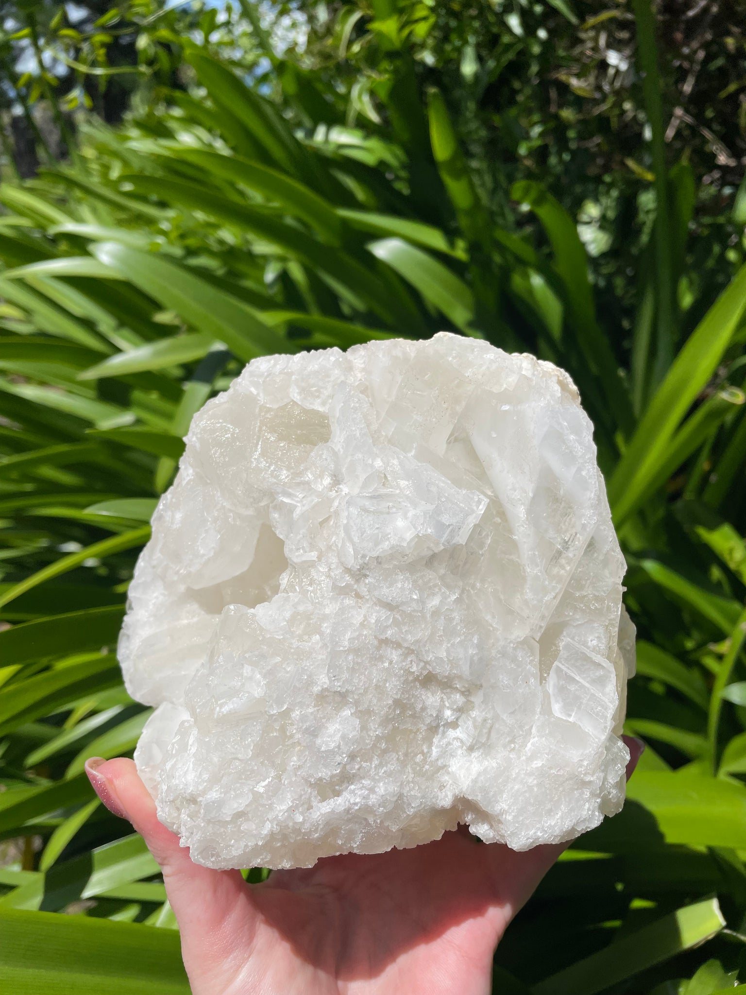 Angel Wing Calcite Cluster Piece A