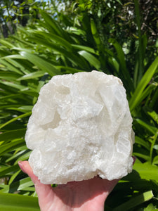 Angel Wing Calcite Cluster Piece A