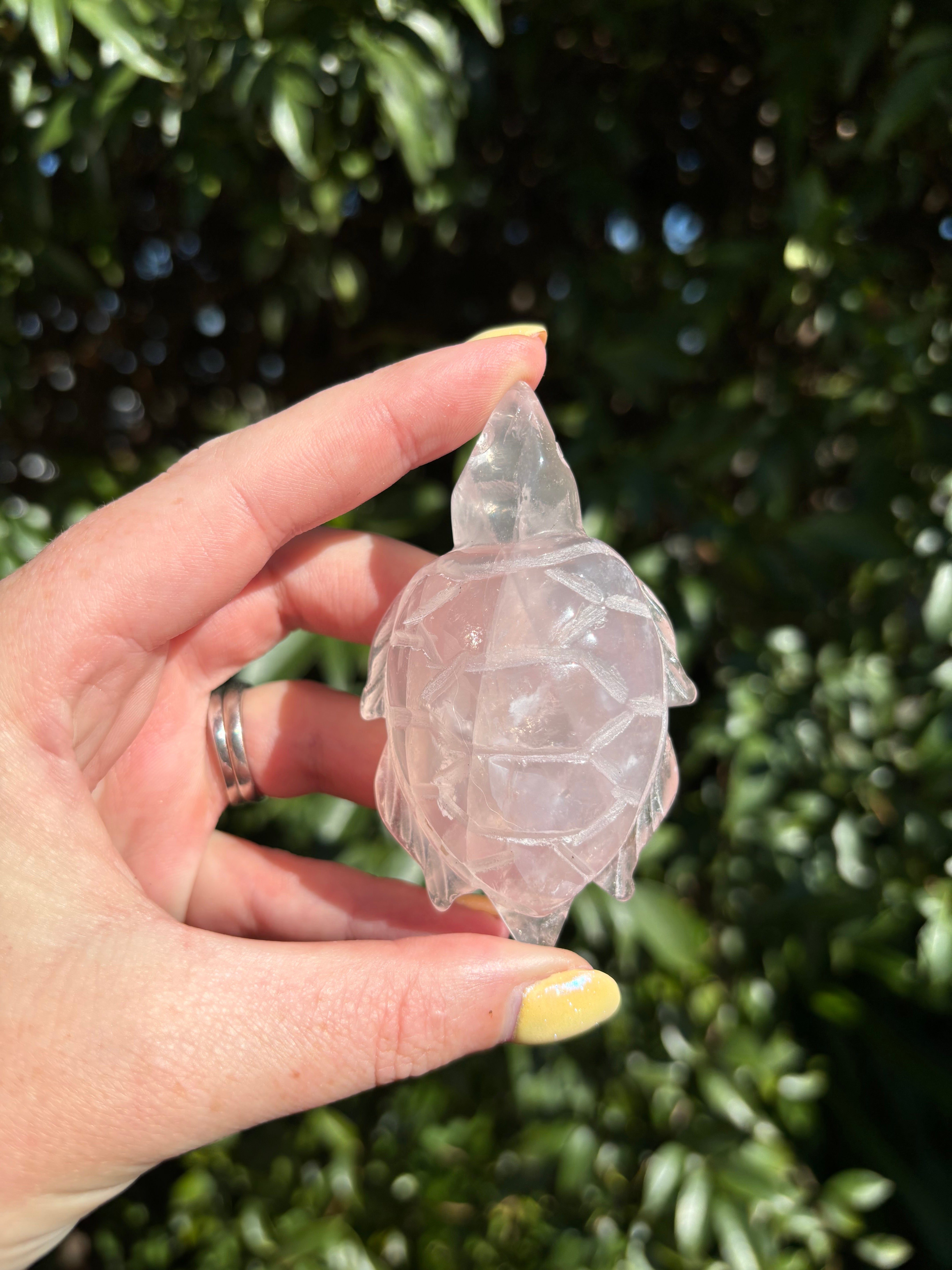 Rose Quartz Small Turtle – Daughters And Co Crystals