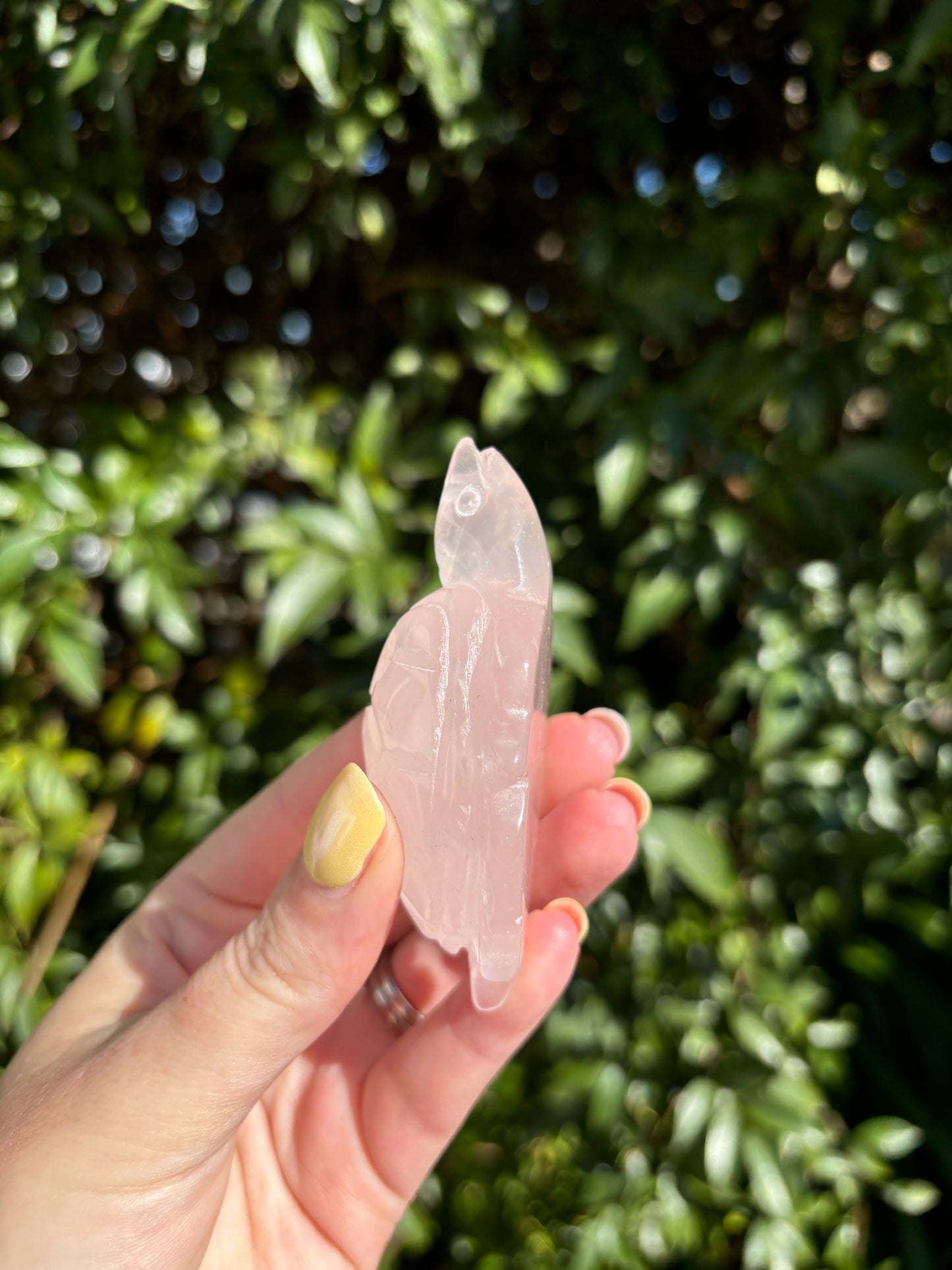 Rose Quartz Small Turtle