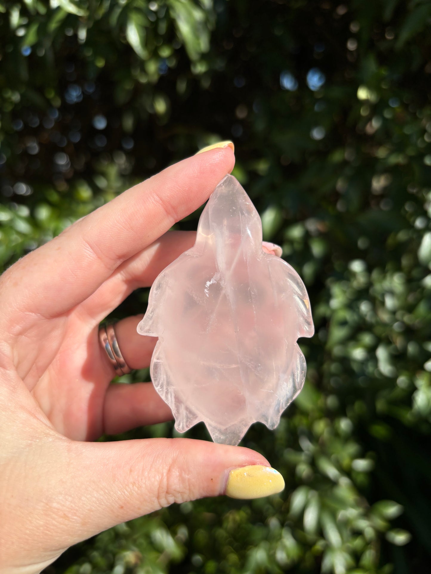 Rose Quartz Small Turtle