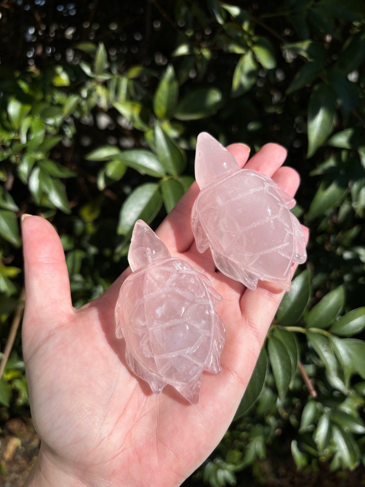 Rose Quartz Small Turtle