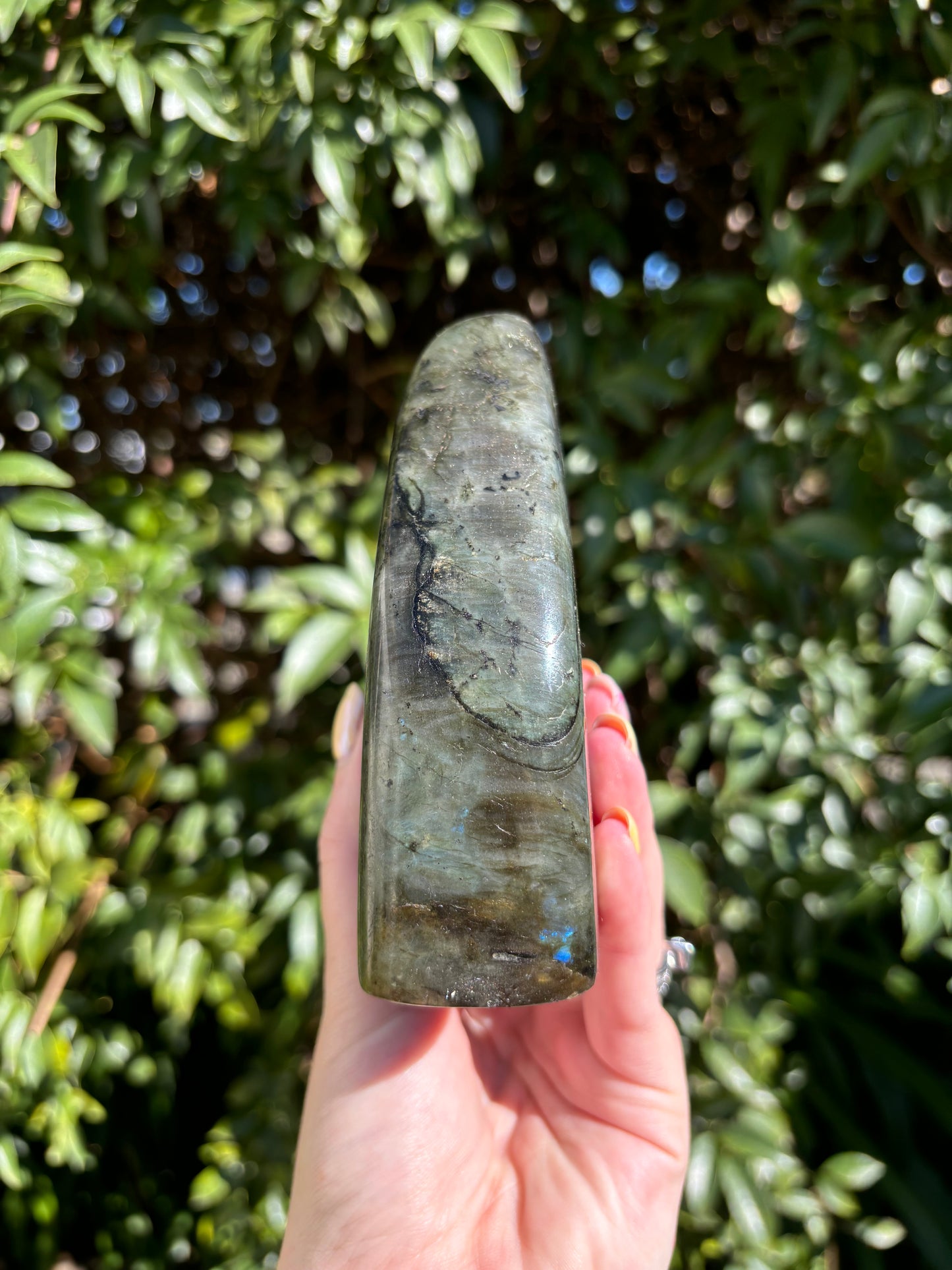 Labradorite Free Form B