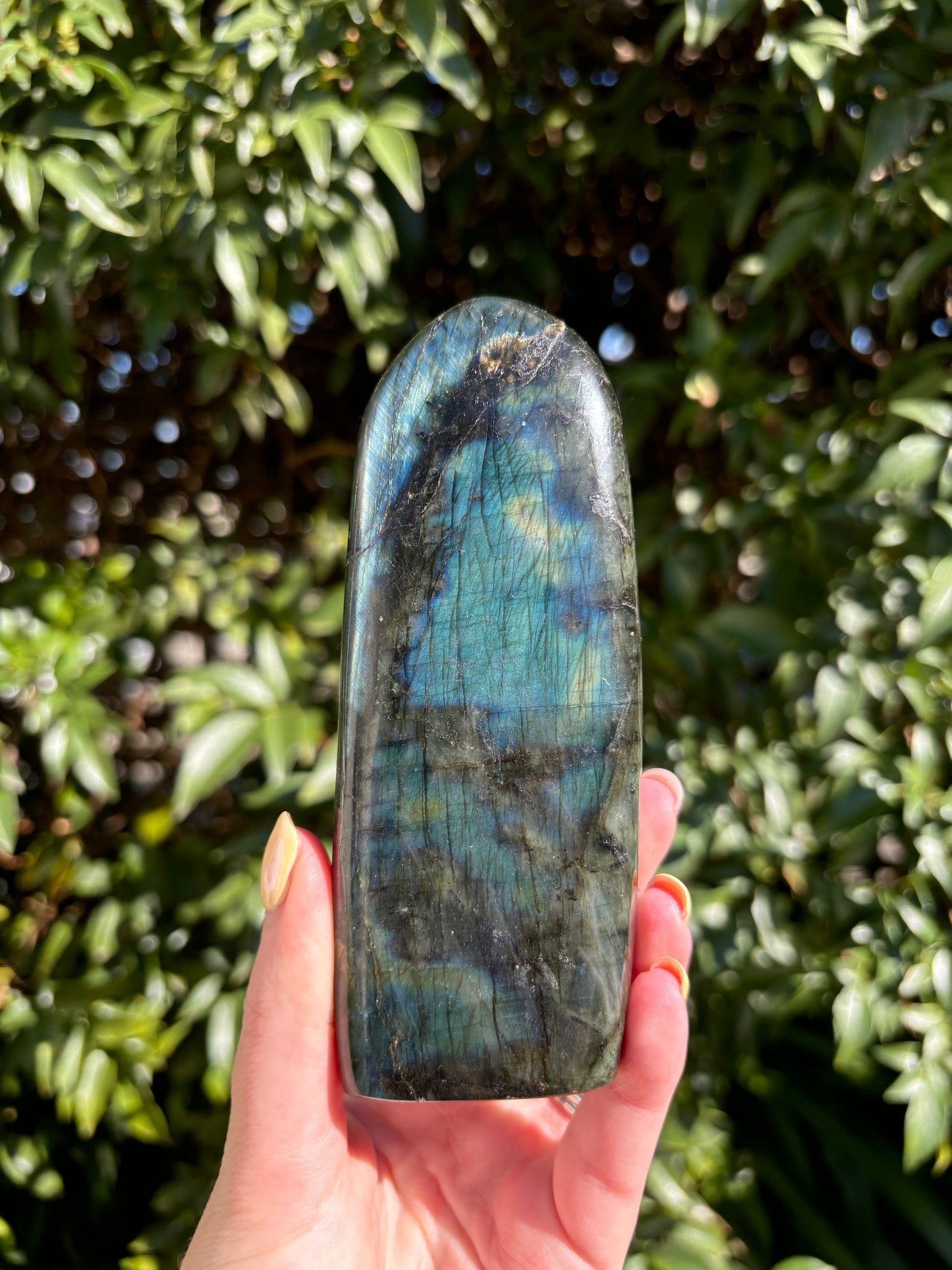 Labradorite Free Form D