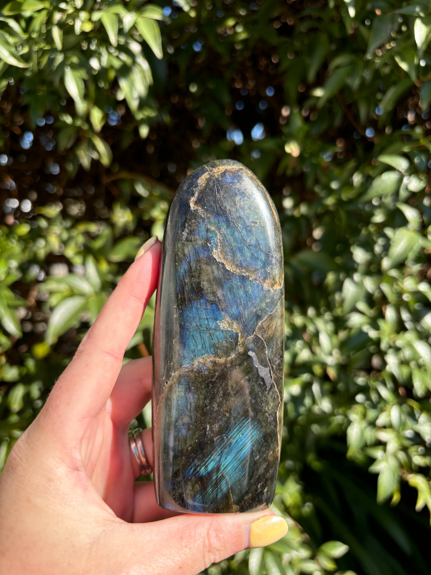 Labradorite Free Form D