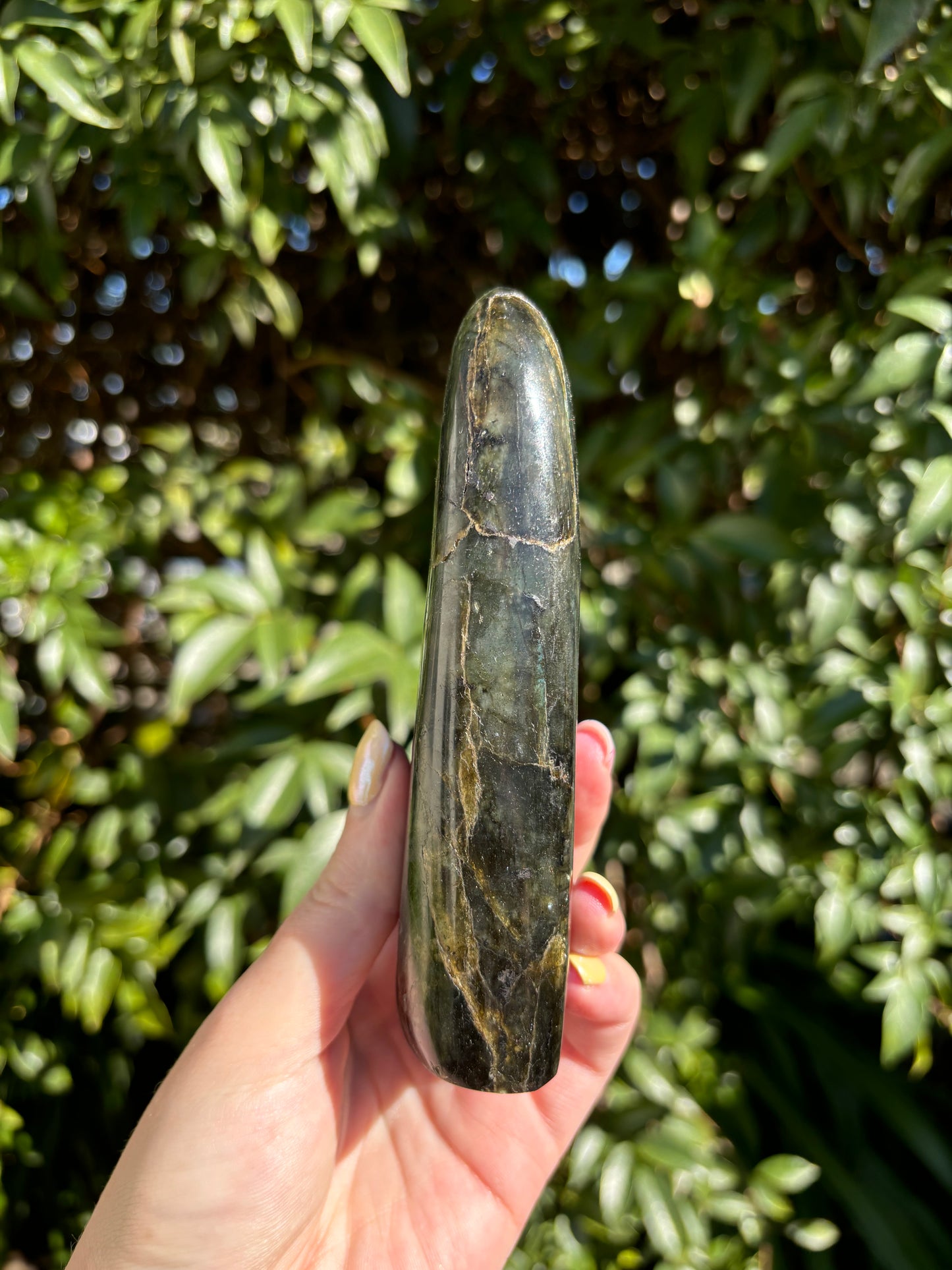 Labradorite Free Form D